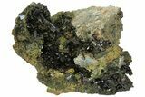 Lustrous, Epidote Crystal Cluster on Actinolite - Pakistan #164850-2